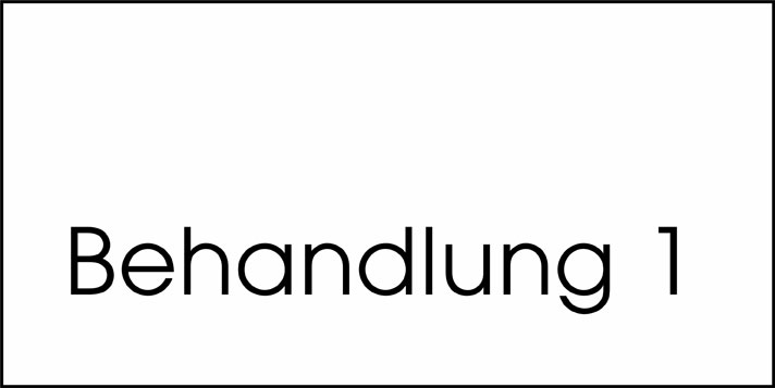 Typ Beta 250 x 125 mm - Behandlung 1