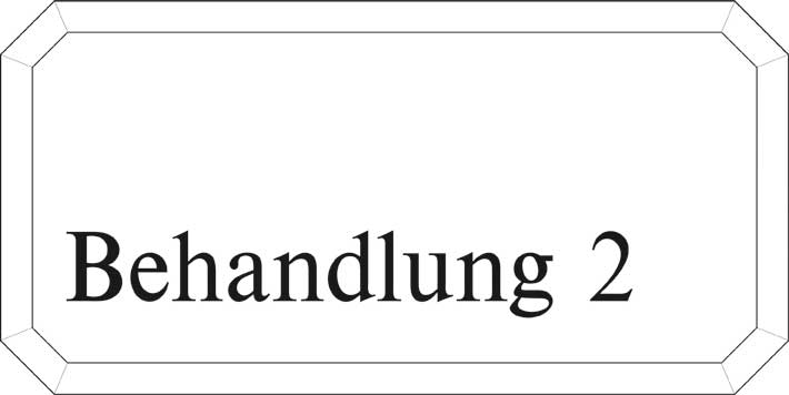Typ Epsilon 250 x 125 mm - Behandlung 2