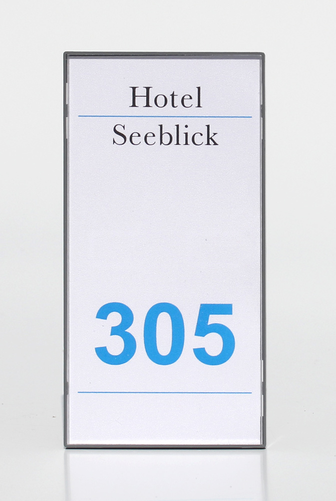 Türschild KAIRO-EASY - 149,5 x 74,75 mm - (nur in VE`s = 1 VE = 10 Stück)