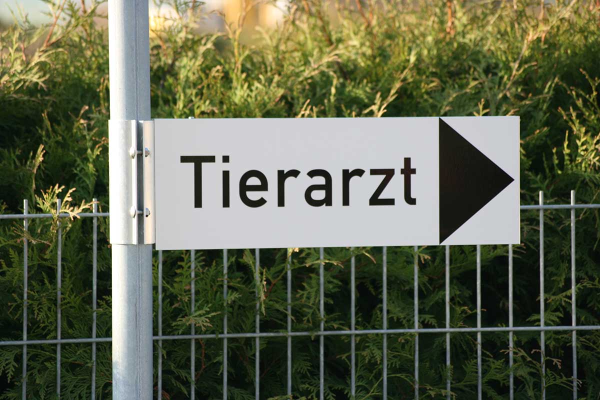 Wegweiser 600 x 200 mm (BxH) - mit Schellen für Posten mit 60 mm Ø