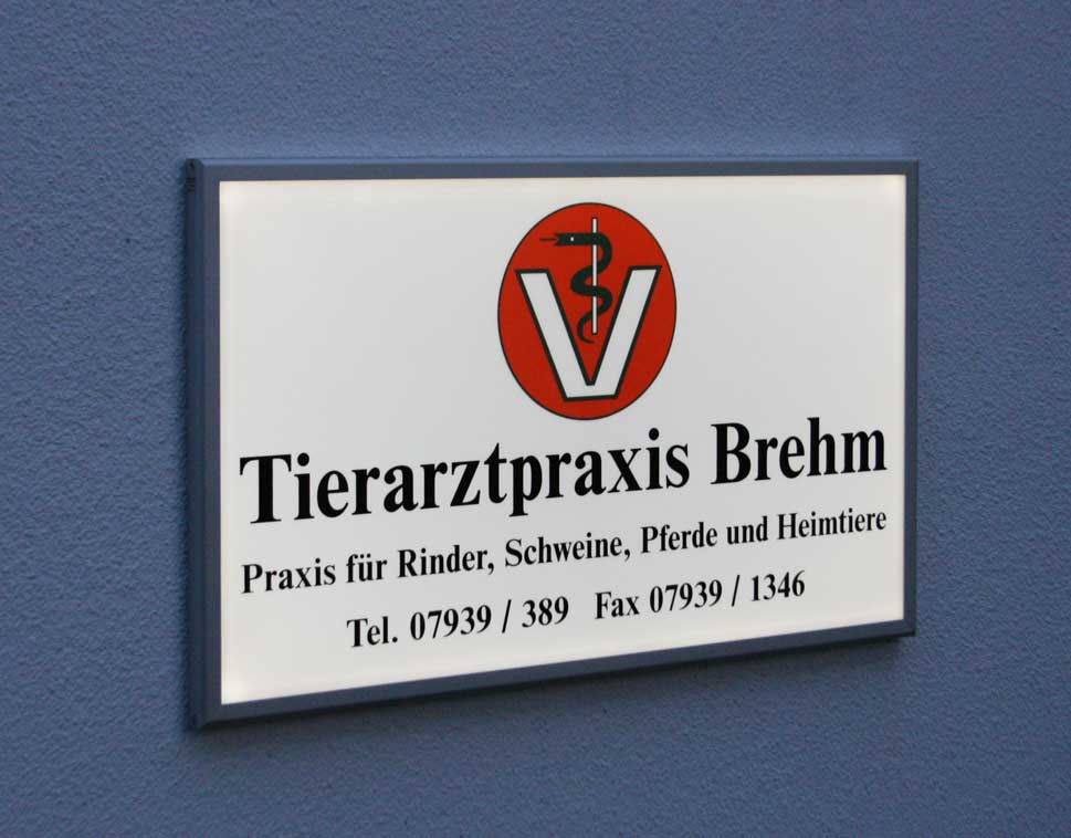 LED-beleuchtetes Schild - 100 x 60 cm