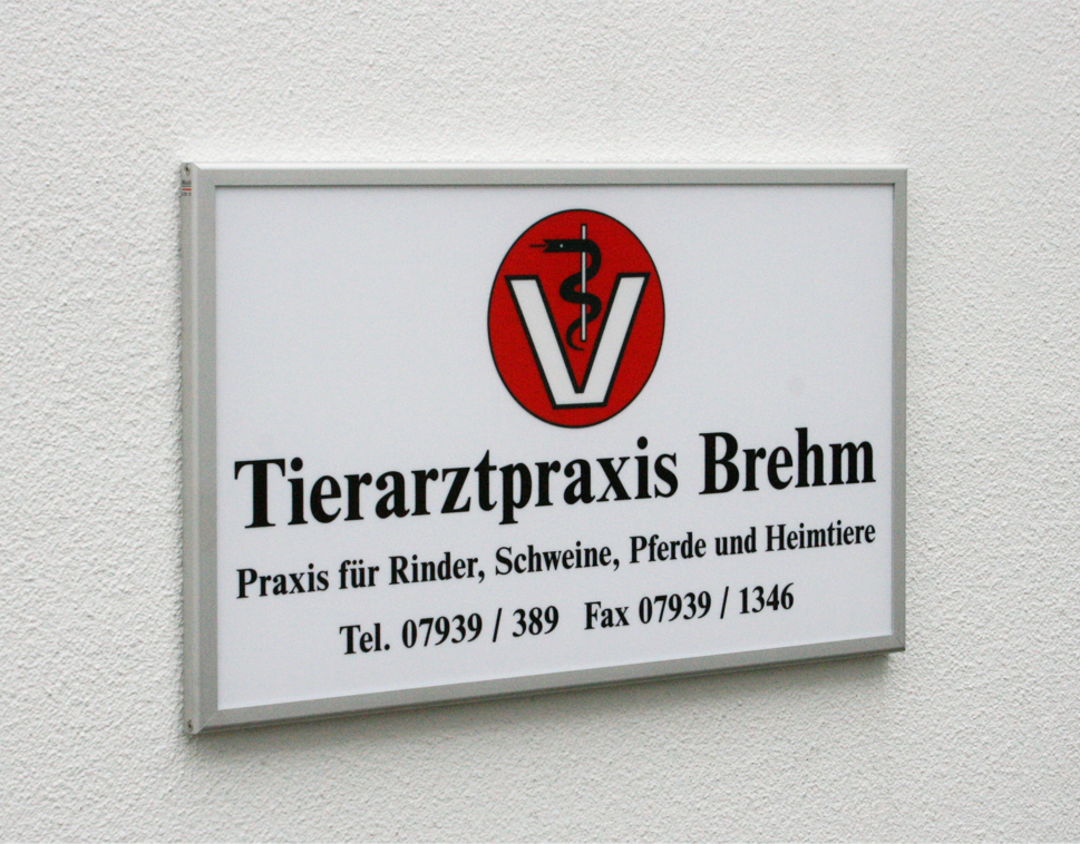 LED-beleuchtetes Schild - 100 x 60 cm