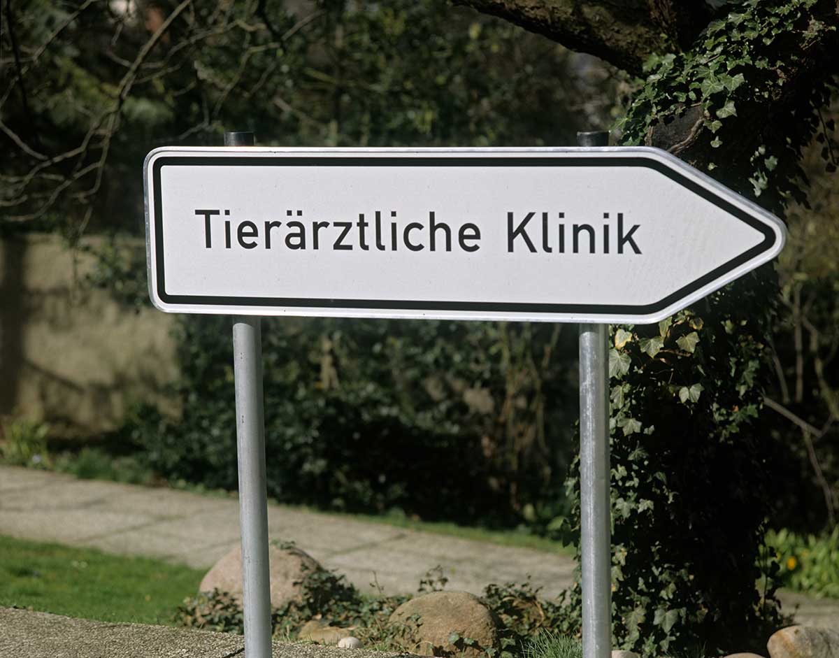 Pfeilwegweiser 1250 x 350 mm (BxH) - mit Pfosten zum Einbetonieren