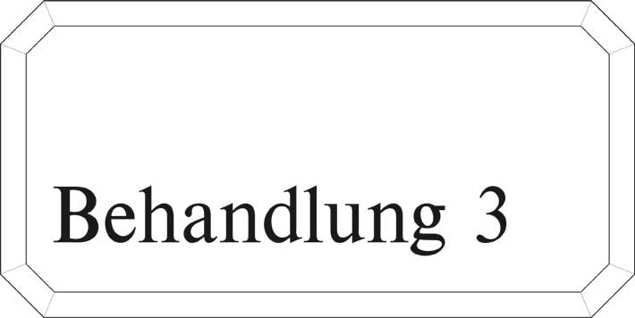 Typ Epsilon 250 x 125 mm - Behandlung 3