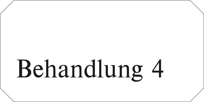 Typ Jota 250 x 125 mm - Behandlung 4