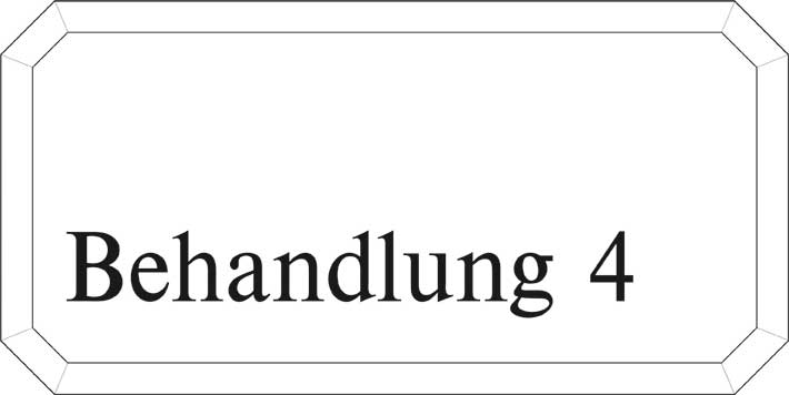 Typ Epsilon 250 x 125 mm - Behandlung 4