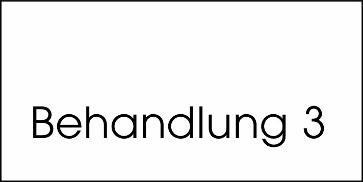 Typ Beta 250 x 125 mm - Behandlung 3