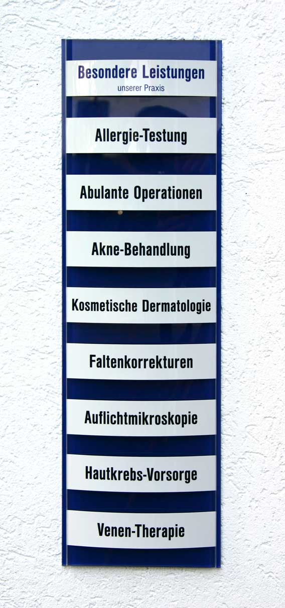 Leistungs-Tafel - 225 x 500 mm - Überschrift + 5 Titel