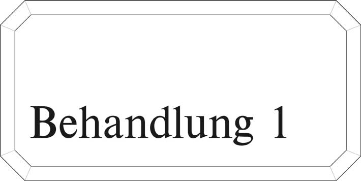 Typ Epsilon 250 x 125 mm - Behandlung 1
