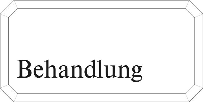 Typ Epsilon 250 x 125 mm - Behandlung