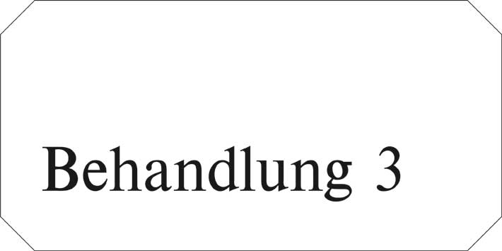 Typ Jota 250 x 125 mm - Behandlung 3