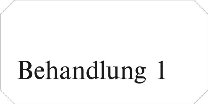 Typ Jota 250 x 125 mm - Behandlung 1