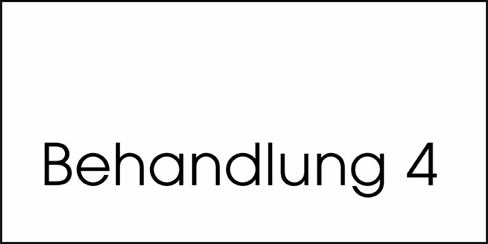 Typ Beta 250 x 125 mm - Behandlung 4