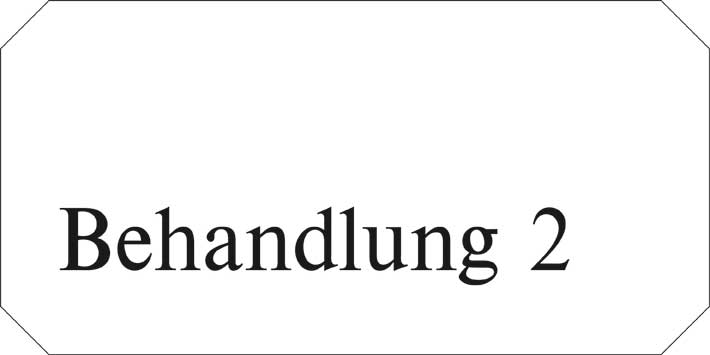 Typ Jota 250 x 125 mm - Behandlung 2