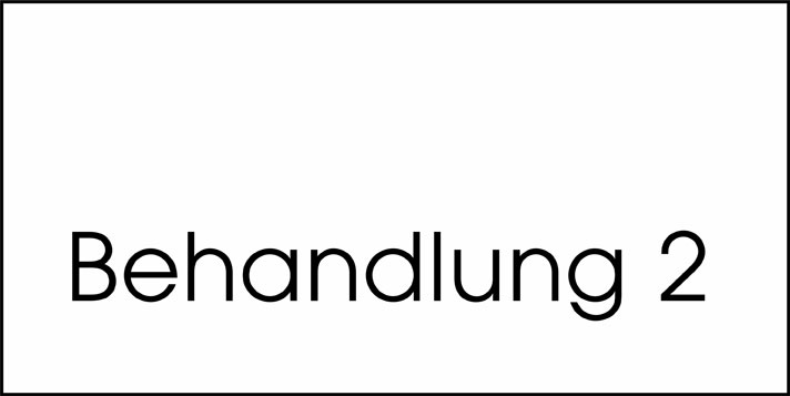 Typ Beta 250 x 125 mm - Behandlung 2